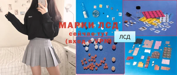прущие грибы Новокубанск