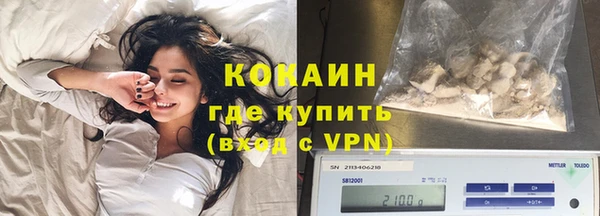 прущие грибы Новокубанск