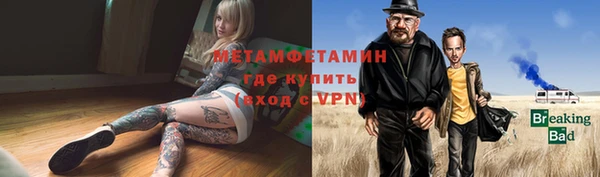прущие грибы Новокубанск