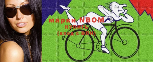 прущие грибы Новокубанск