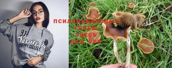 ALPHA-PVP Невельск