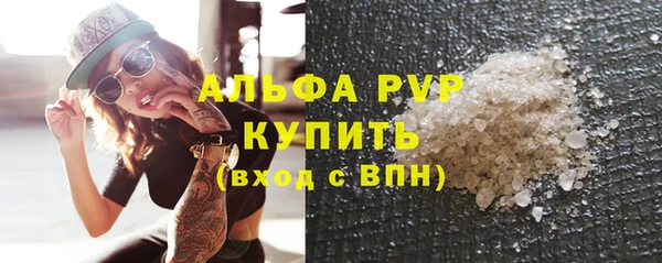 прущие грибы Новокубанск