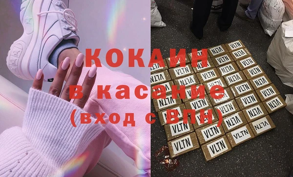 стаф Новодвинск