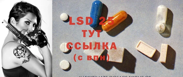 стаф Новодвинск