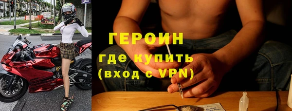 прущие грибы Новокубанск