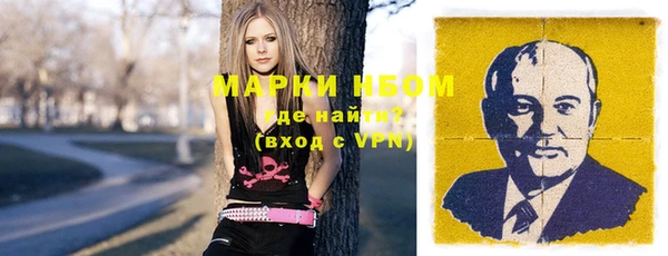 стаф Новодвинск