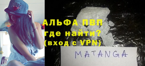 прущие грибы Новокубанск
