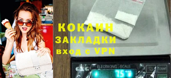 стаф Новодвинск
